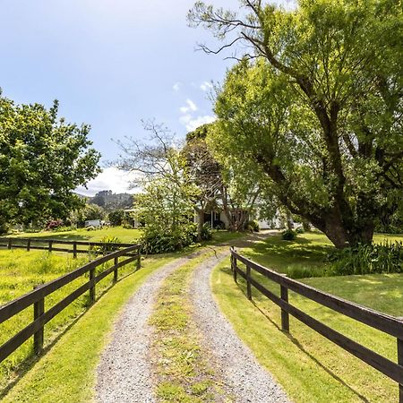Jacaranda Lodge Coromandel Luaran gambar