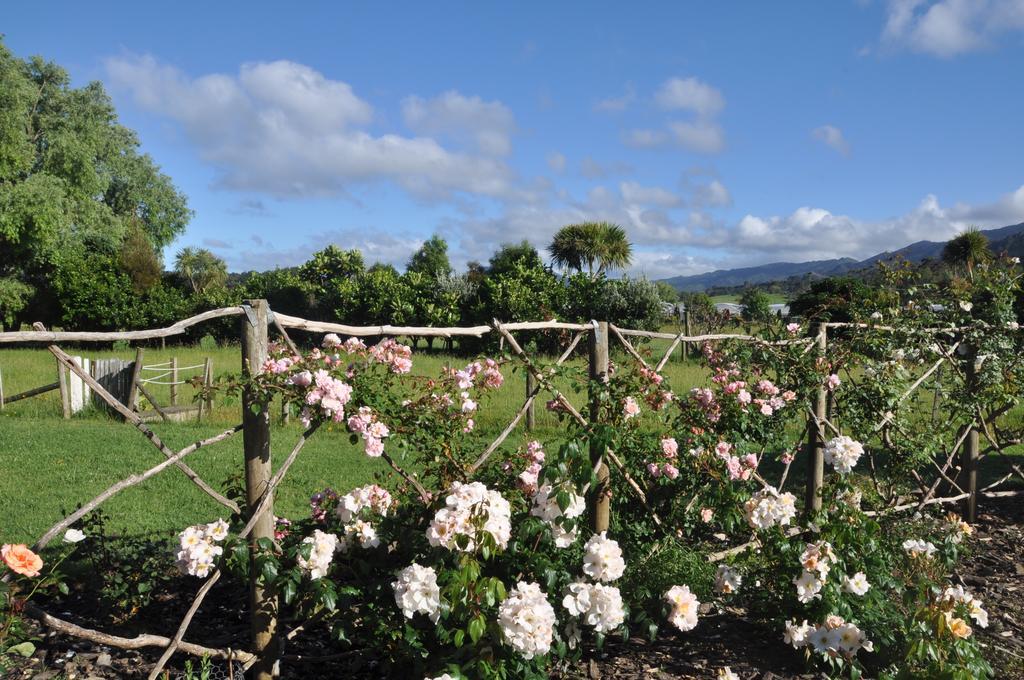 Jacaranda Lodge Coromandel Luaran gambar