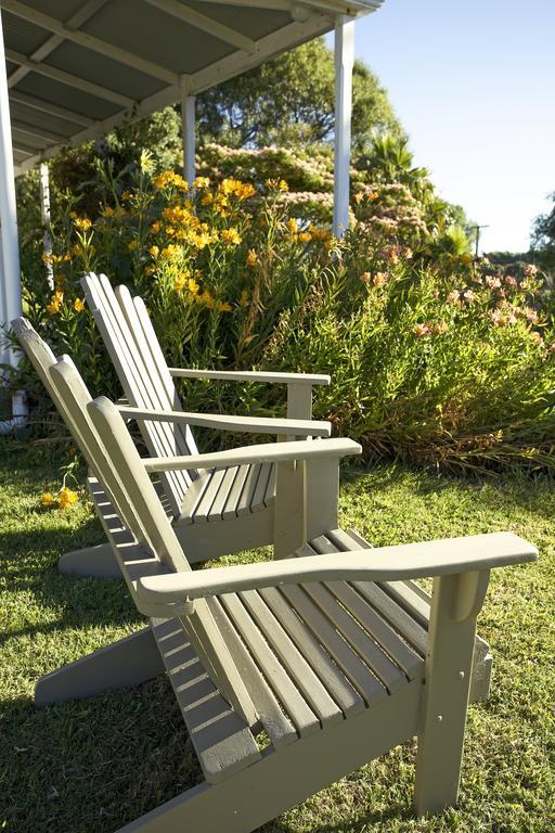 Jacaranda Lodge Coromandel Luaran gambar