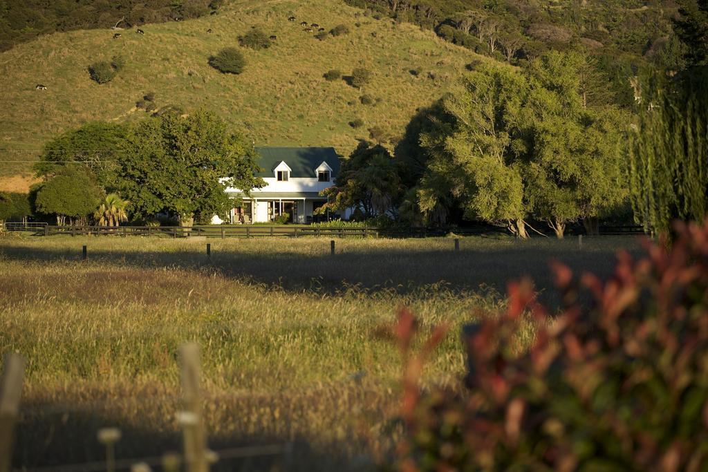 Jacaranda Lodge Coromandel Luaran gambar