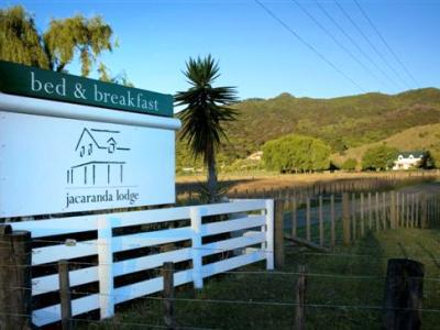 Jacaranda Lodge Coromandel Luaran gambar
