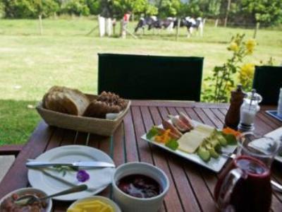 Jacaranda Lodge Coromandel Luaran gambar